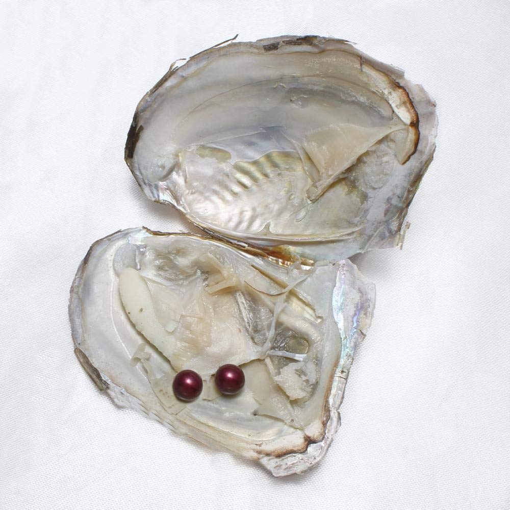 Süßwasserperlen 7–7,9 Mm – Natürliche Auster-Pfirsichfarbe, Fast Rund, Für Schmuckherstellung