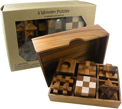 Juego de regalo de 6 rompecabezas de madera en una caja de madera - Rompecabezas de IQ únicos 3D