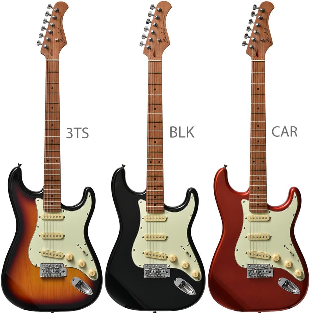 Bacchus BST-1-RSM/M エレキギター初心者14点セット 【充電式