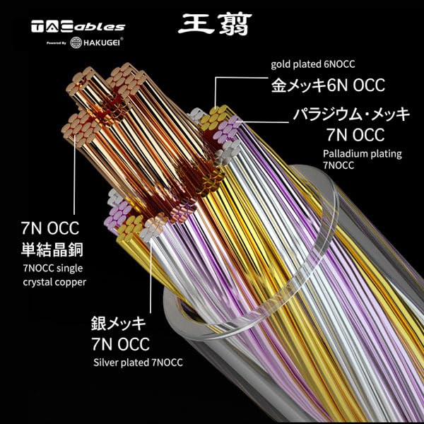 Amazon | 【国内正規品】 TACable powered by HAKUGEI イヤホン