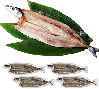 北海道産 さんま魚醤干し100g 4パック 秋刀魚 さんま サンマ 北海道 干物 ギフト セット 魚 海鮮 冷凍 詰め合わせ 北国からの贈り物