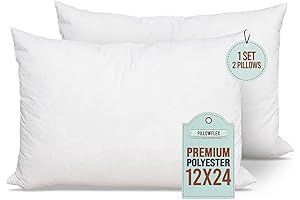 Pillowflex 24x24 Decorative Pillow Inserts (Set of 2)