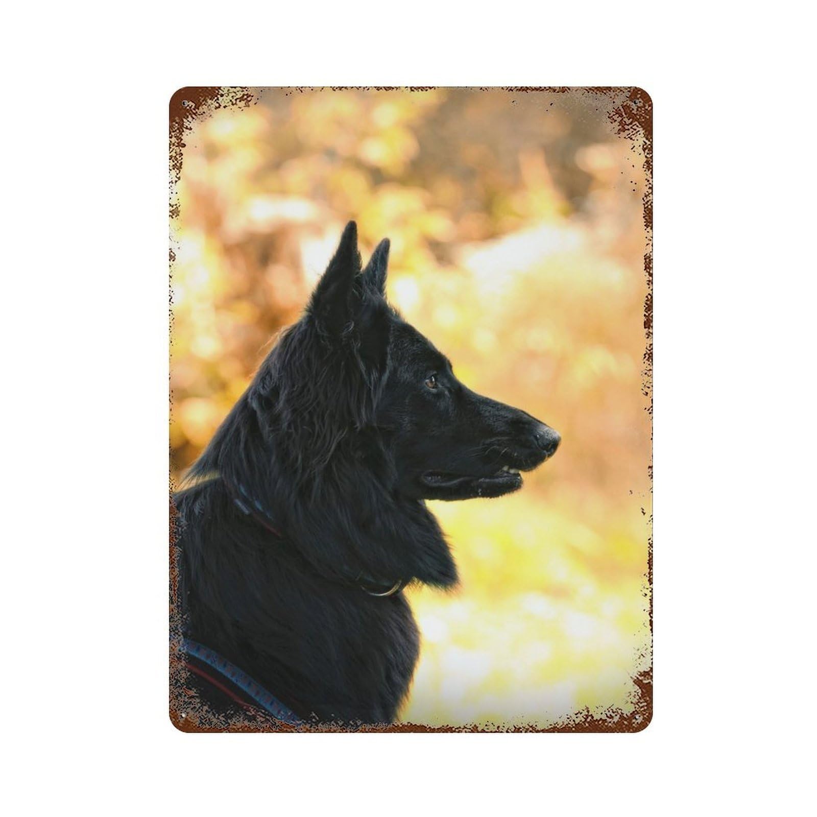Vintage Rust Metal Sign Belgian Shepherd Dog 15.7"x11.8", Shabby Chic Decor for Cafe, Home Bar And Lounge Decor