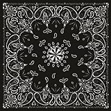 Zanheadgear B001 Premium Bandanna, 100% Cotton, Black Paisley 12 x 6 x 1.9 Inch