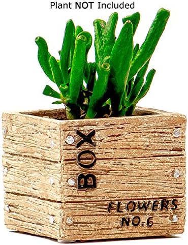 Succulent Planter / Cactus Planter - 3.25 Inch Tan Cement Flower Box Container - by TERRARIUMS FOR SALE