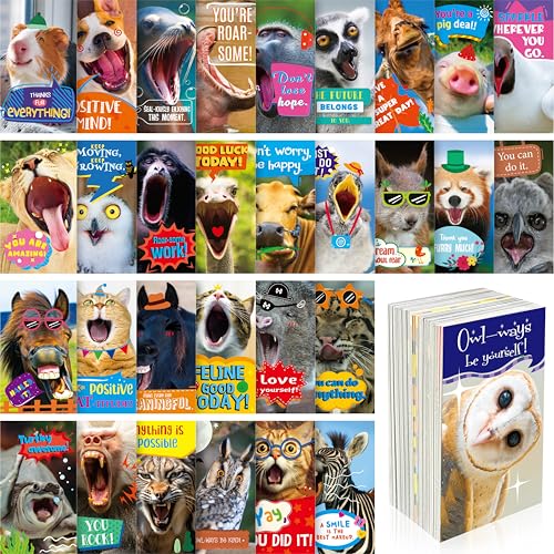 Gethelud 200 PCS Fun Animal Motivational Cards, 60 Designs Encouragement Inspirational Cards Funny Note Card, Positive Affirmation Card for Students Adults Kids (2” x 3.5”)