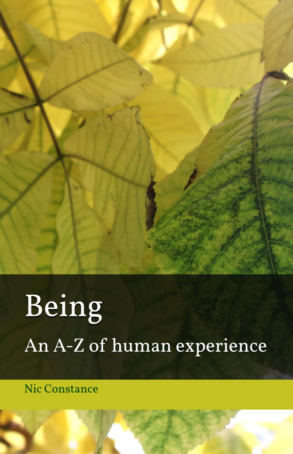 Being: An A-Z of human experience