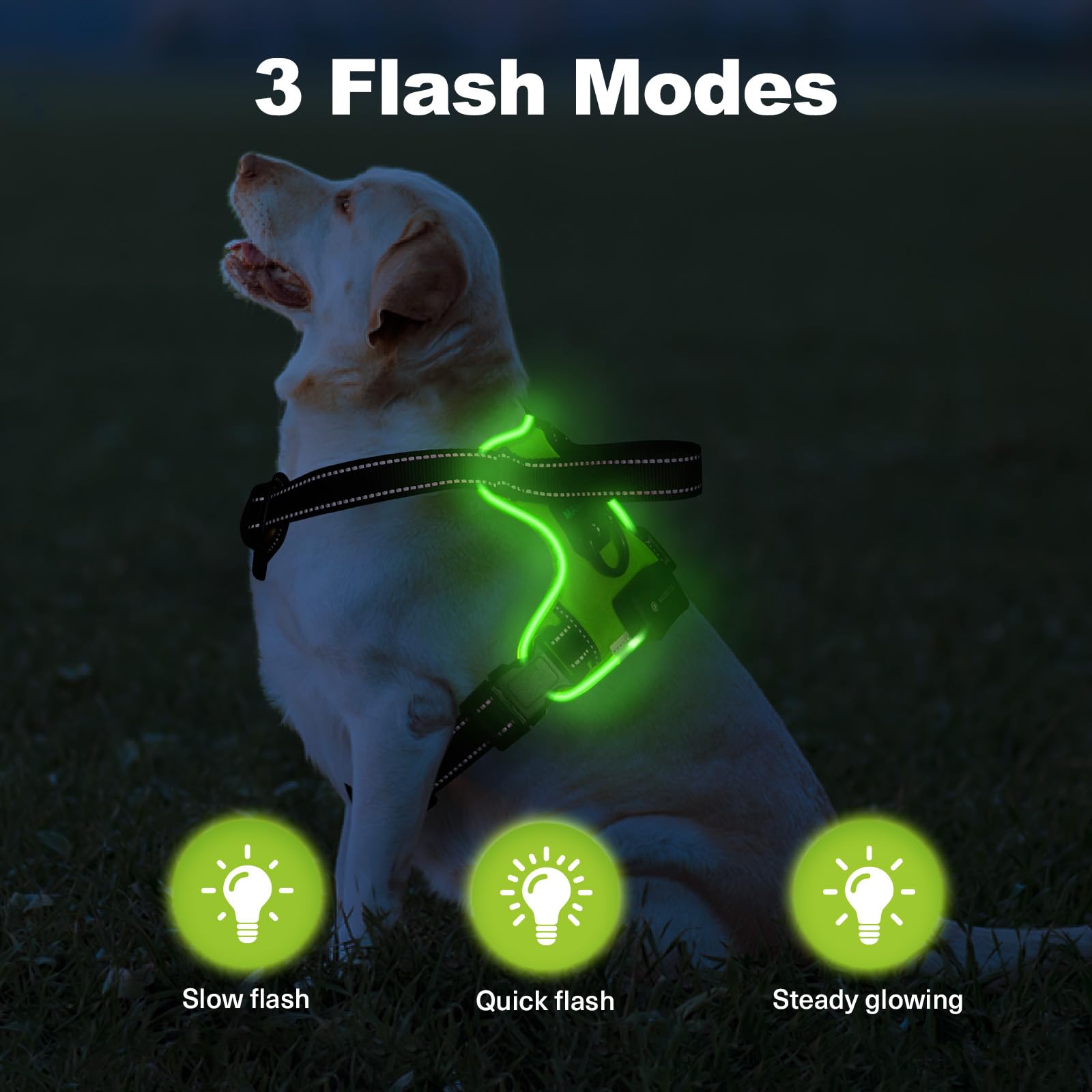 MASBRILL Harnais Lumineux Rechargeable USB‑C avec Bandes Réfléchissantes, 3 Modes d'Éclairage, Réglable, Maille Respirante et Rembourrage, IPX6, pour Chien Moyen 14‑25 kg Vert + Vert M