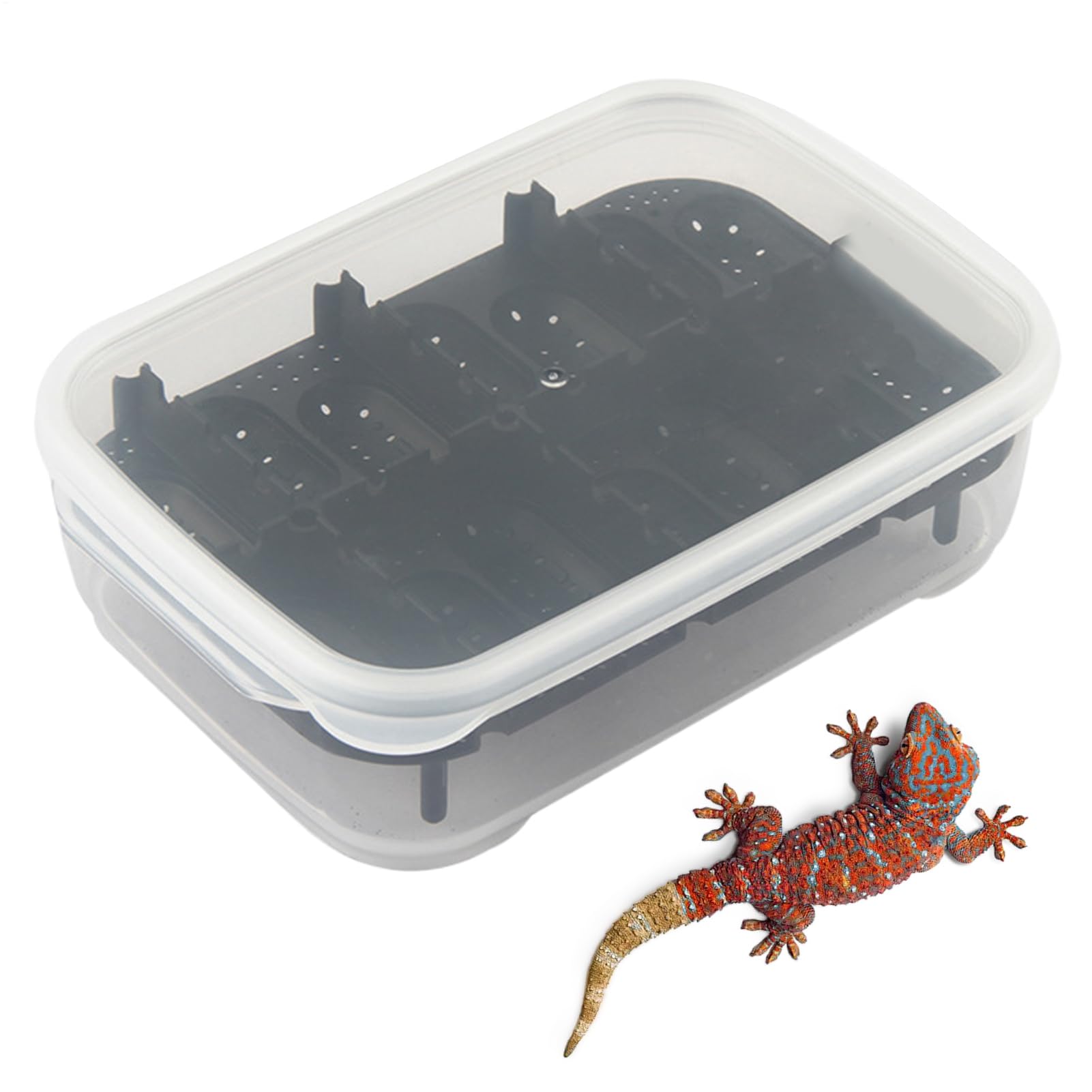 Snake Terrarium, 14 siatek Gecko Hatching Basin, Transparent Breeding Box, Compact Reptile Habitat Container, 7,09 x 5,12 x 1,97 , do użytku w górach, Scorpion and Indoor Breeder
