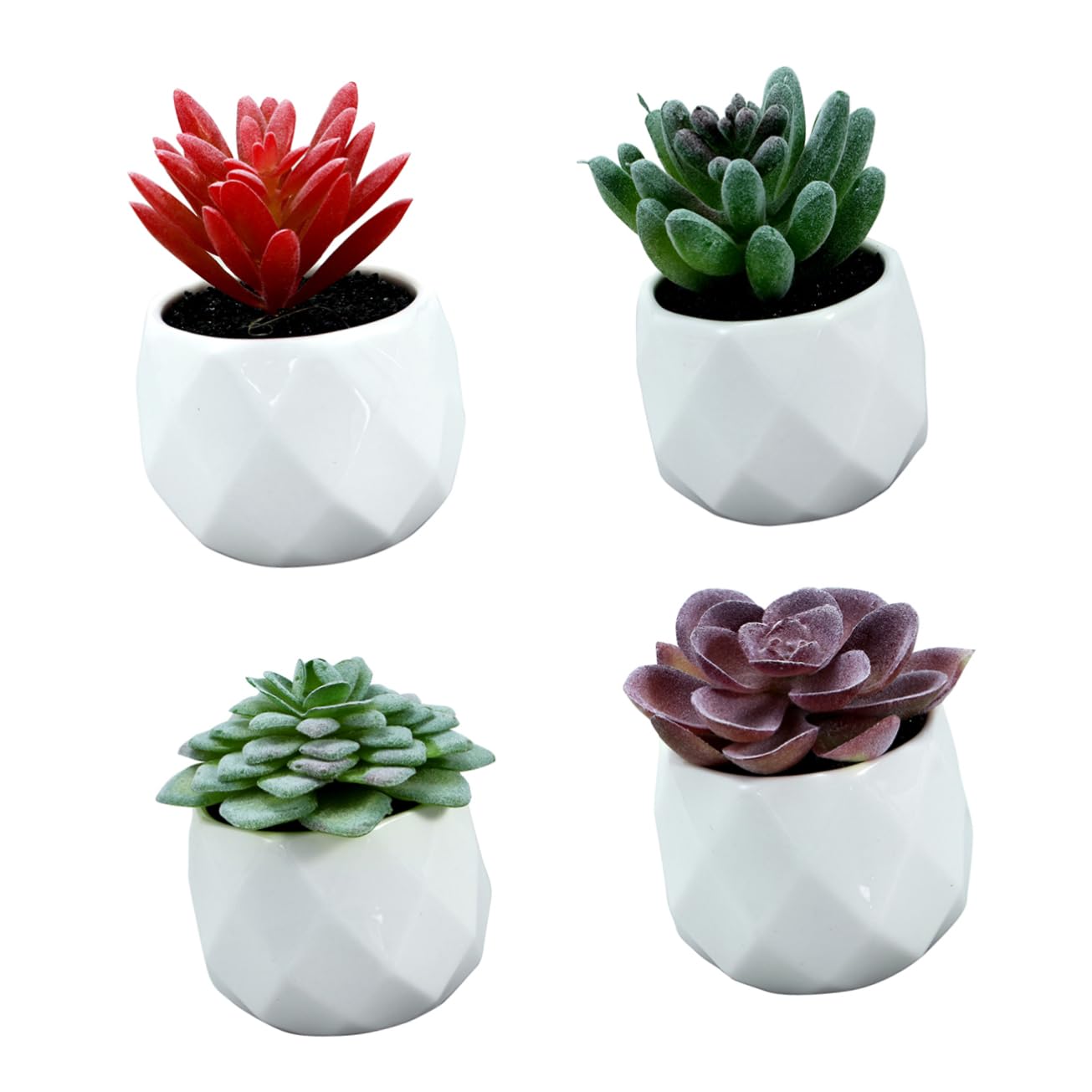 Alipis 4piezas Suculentas Artificiales Decorativas Alocasia Echeveria Medinilla Cactus con Macetas