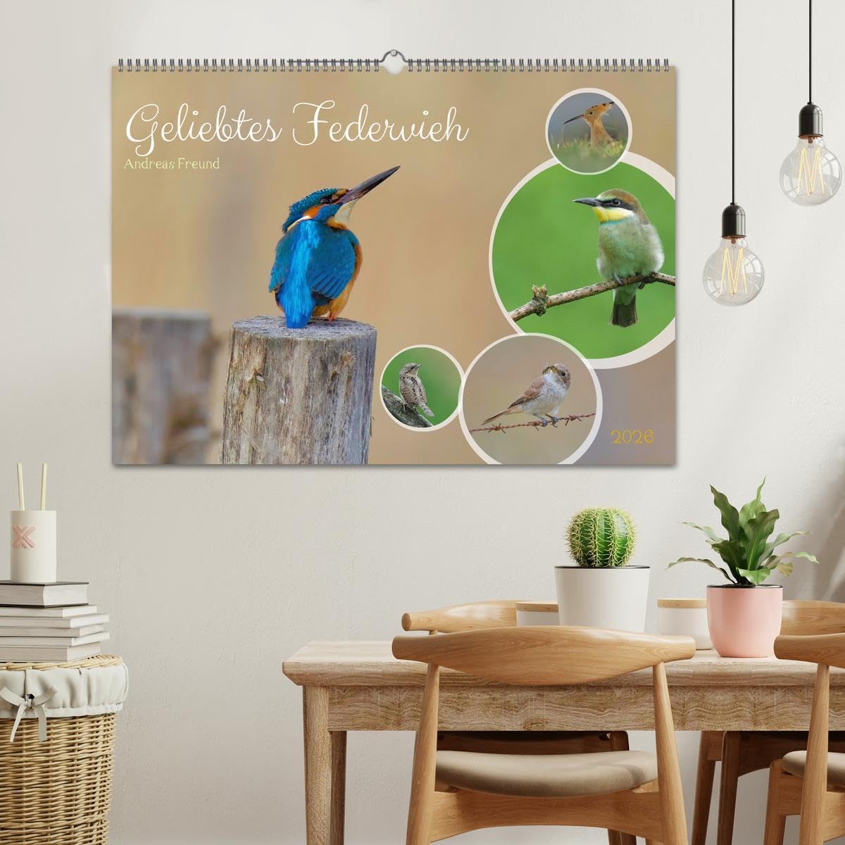 Geliebtes Federvieh (Wandkalender 2026 DIN A2 quer), CALVENDO Monatskalender: Eine Sammlung von Vogel-Fotografien, unterschiedlicher Arten und Familien. (CALVENDO Tiere)