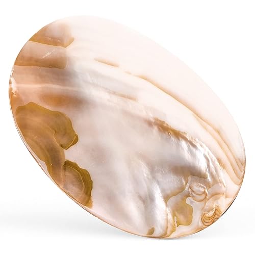 Plato de la madre de la perla de la aviar 50in x 30in