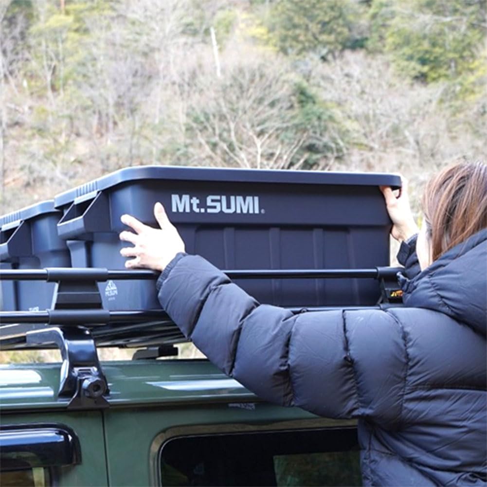 Amazon.co.jp: マウントスミ Mt.SUMI Mt.SUMI別注 THOR 53L インナー