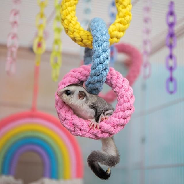 Foto 7 de 8 de Sugar Glider - Juguetes colgantes de tres anillos para escalar, jaula de columpio colgante para deslizador…