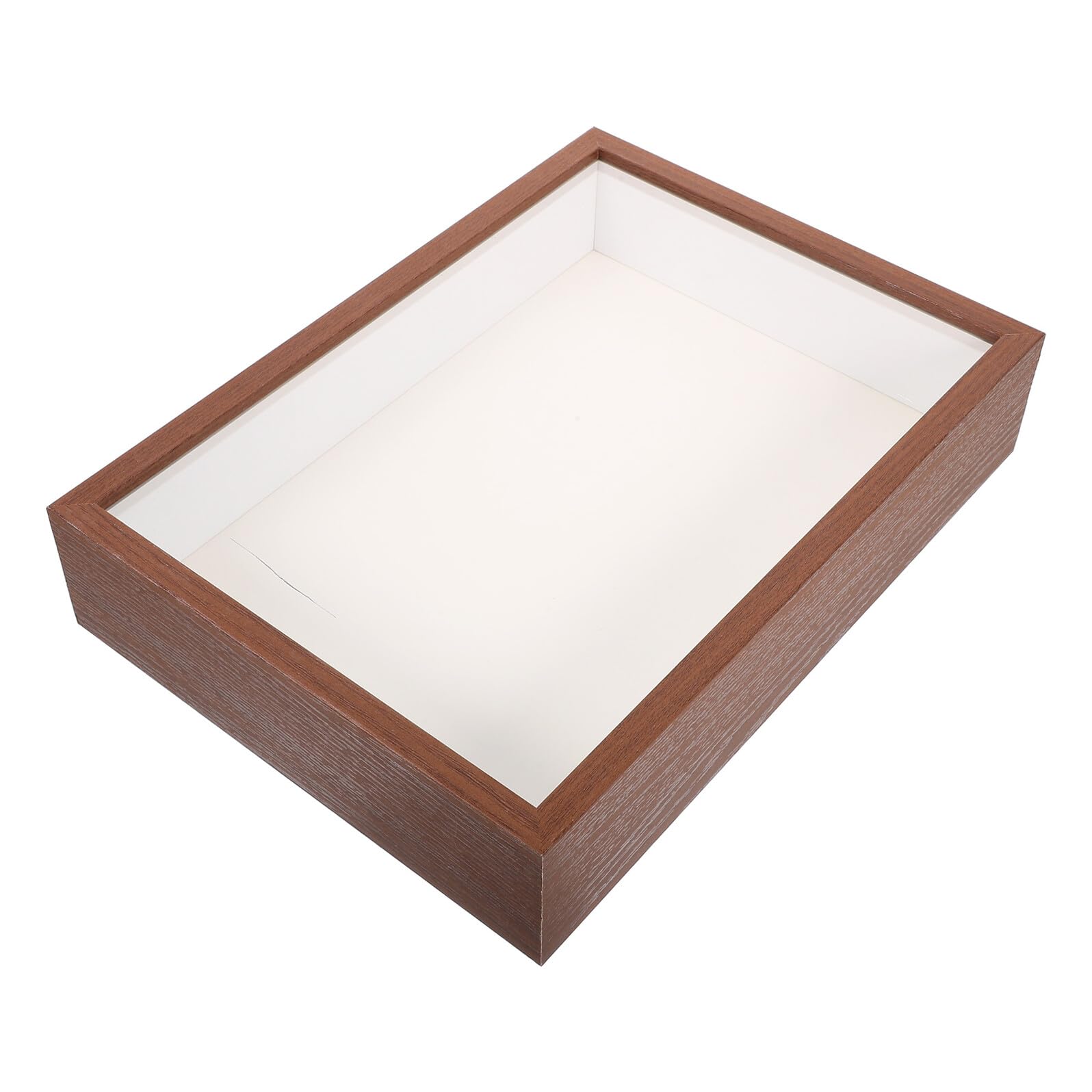 Ciieeo Cornice Galleggiante in Legno per Fiori Secchi A3 5 Cm Cornice Fai da Te per Esposizione di Piante Secche e Foto Decorativa per Soggiorno e Camera da Letto