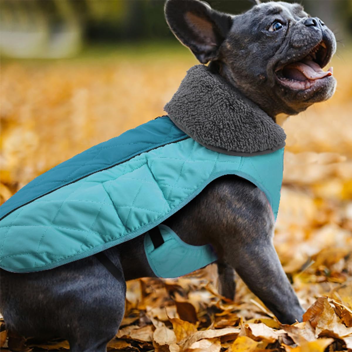 Doglay Chaqueta para perro, abrigo de invierno impermeable con cuello peludo grueso, forro reflectante, forro polar cálido, abrigo de nieve para perros pequeños a grandes