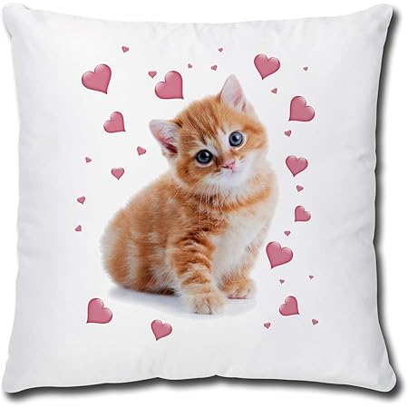 PillowMonkey Bijzondere sierkussens - Luxe kussens voor op de bank - 50x30 cm