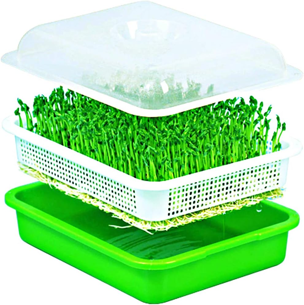 Seed Sprouter Wheatgrass Sprouting Tray BPA Free PP Sprouting Kit Big Capacity with Lid 13.4 x 9.84 x 4.2inch,Indoor Sprouter,Green