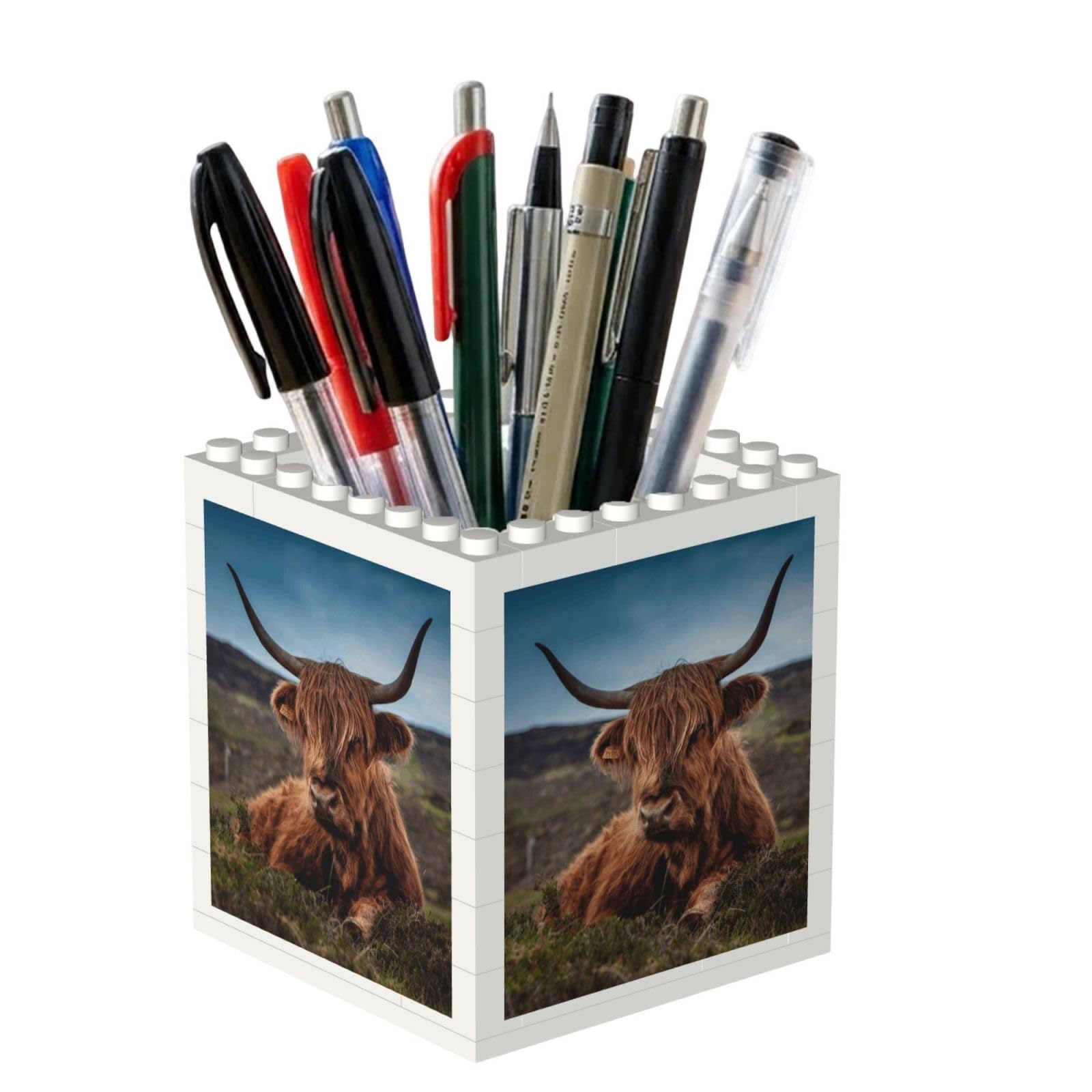 Poadnly Highland Cow, Pen Pot Pencil Holder for Office Home School, Compact Desk Organiser for Office Stationery