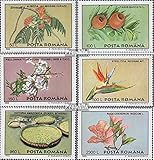 Prophila Collection