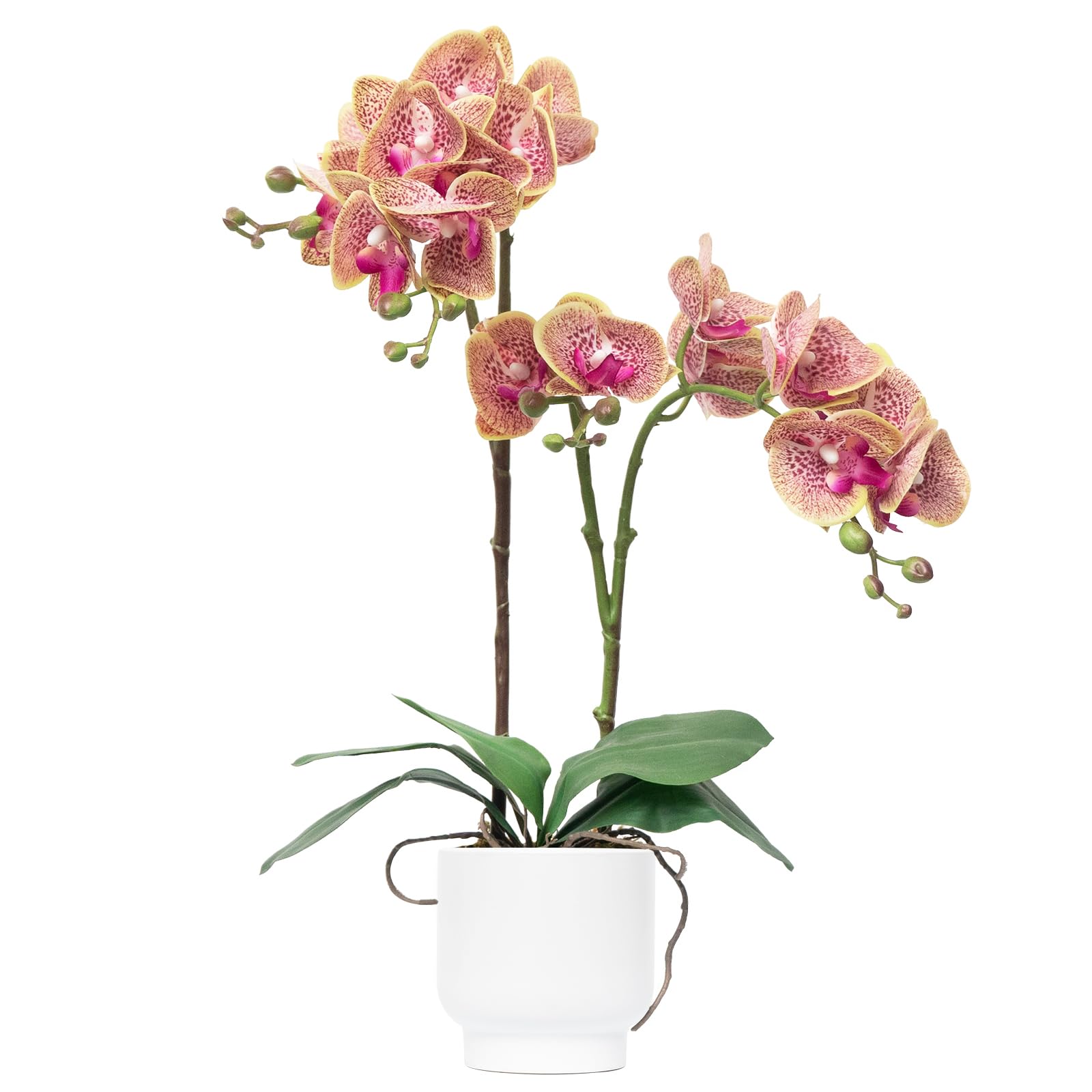 CXGS Real Touch Faux Orchid