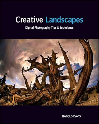 Creative Landscapes: Digital Photography Tips and Techniques Creative Landscapes: Digital Photography Tips and Techniques book cover
