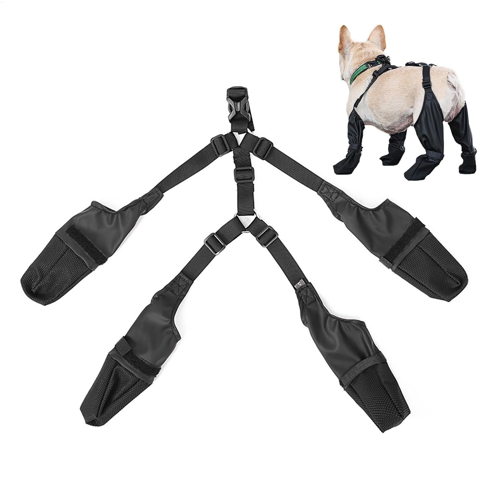 Legging de protection chien pour éviter les pattes sales et glissades