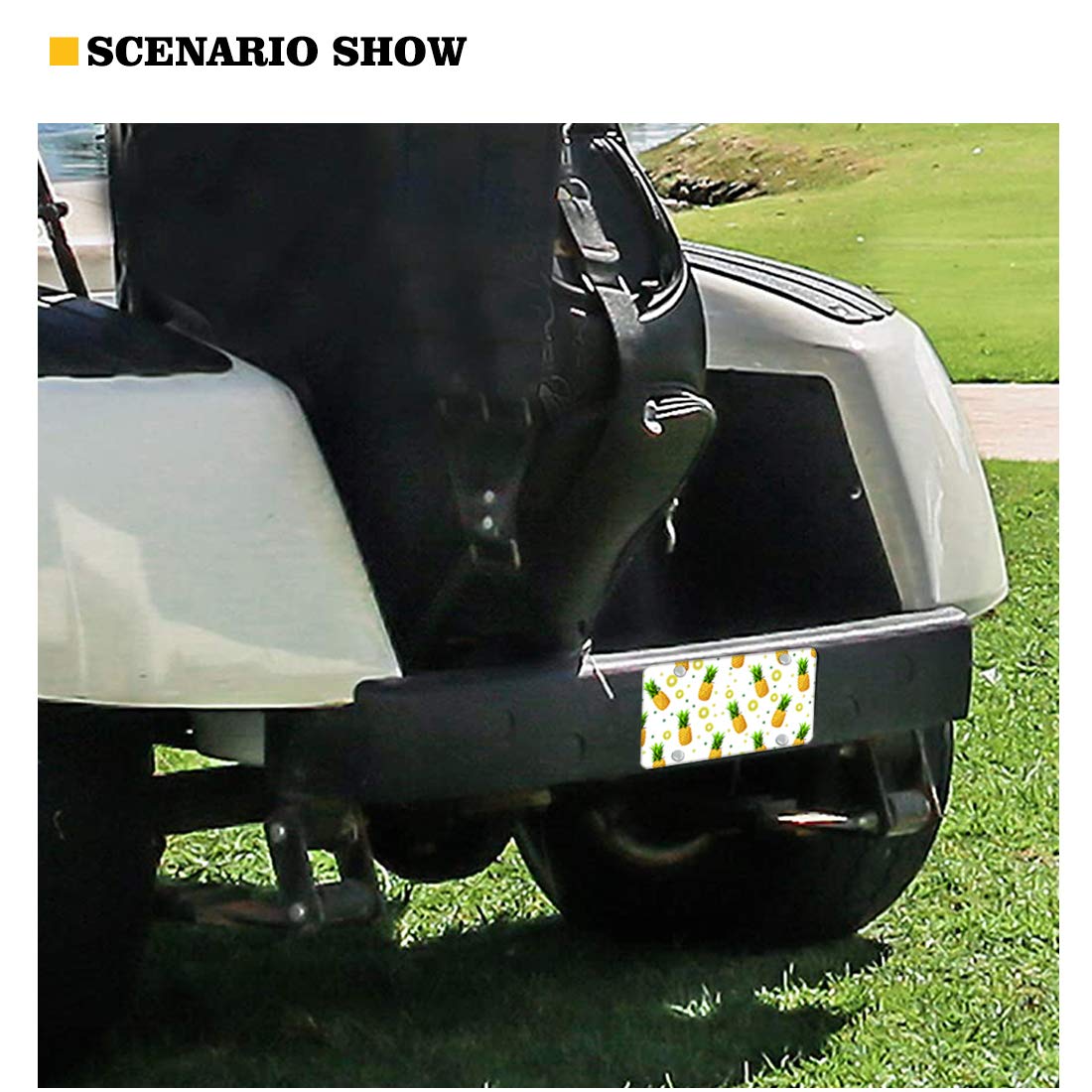 Targhe Americane Originali | Acquisti Online Su - Foto 7