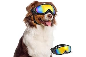 Lewondr Dog Goggles: Pawsome Protection for Your Pup's Eyes