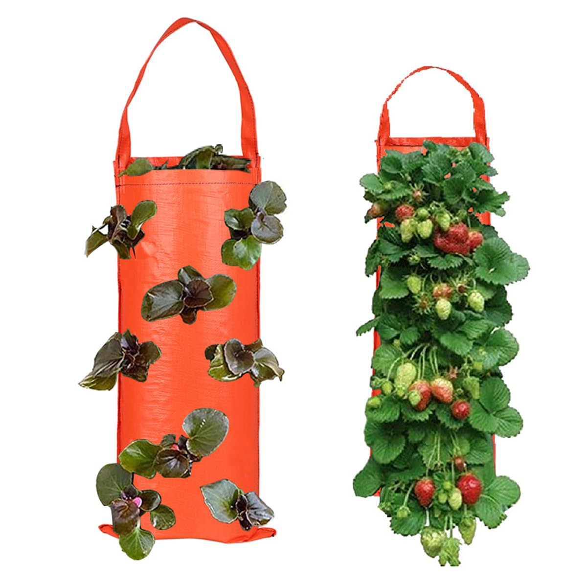 Mnrkaoic Hanging Strawberry Planter Strawberry Pot Bags Plant Grow Bags Garden Container for Growing Fruit Pots Accessory Vegetables Backyard Patio (Orange)