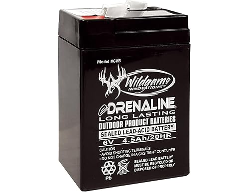 Discover the Best Rechargeable 6 Volt Batteries | Ultimate Buyer's Guide 2024