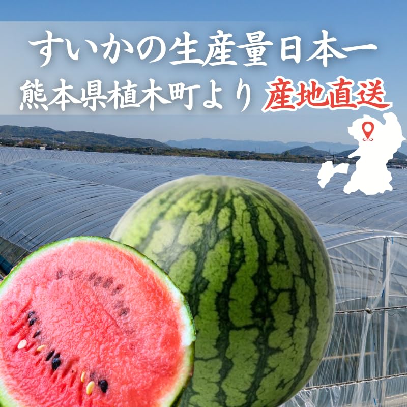 Amazon.co.jp: 熊本 植木スイカ 2.5キロ 2玉 ひとりじめ 等級秀品 小玉