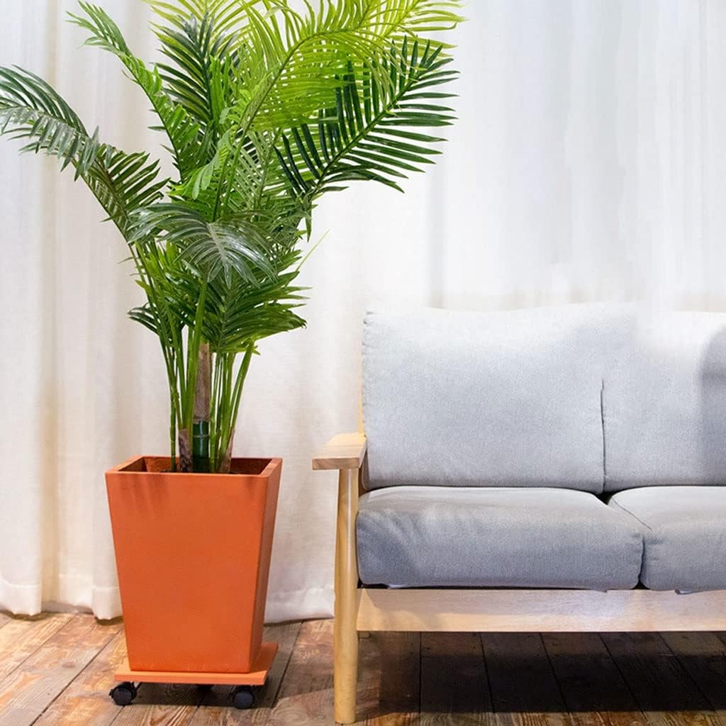 No.300 苔アート 苔テラリウム 食虫植物 ウツボカズラ 完成品