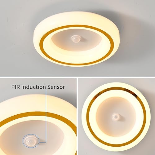 Miniatura 2 de Luces de techo LED delgadas de 9.5 pulgadas, montaje empotrado, temperatura de color 6000 K, lámpara de techo LED de 16 W con inducción PIR para