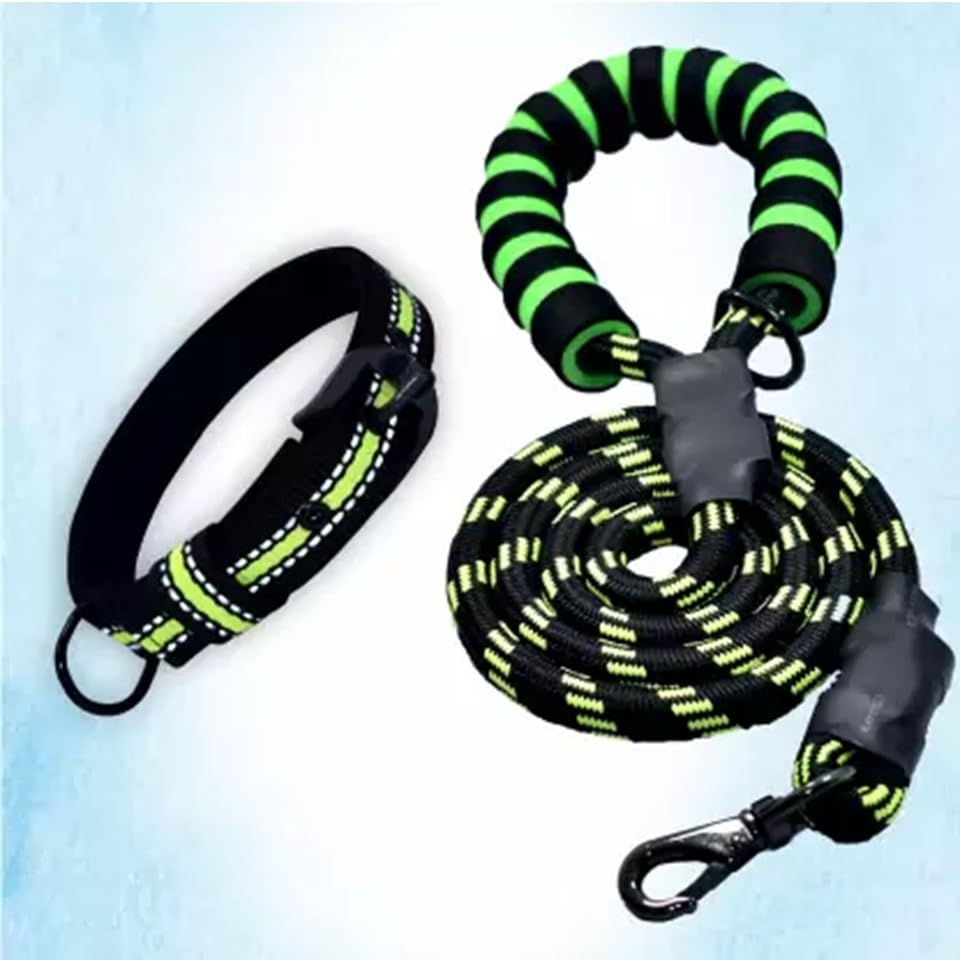 Heavy Duty Nylon Dog Leash with Reflective Collar - Anti-Slip Padded Handle - Long Training Leash for Medium & Large Dogs (5 Feet, 25 mm Collar) (NEON) (B0D4989XH3) Amazon Price History, Amazon Price Tracker