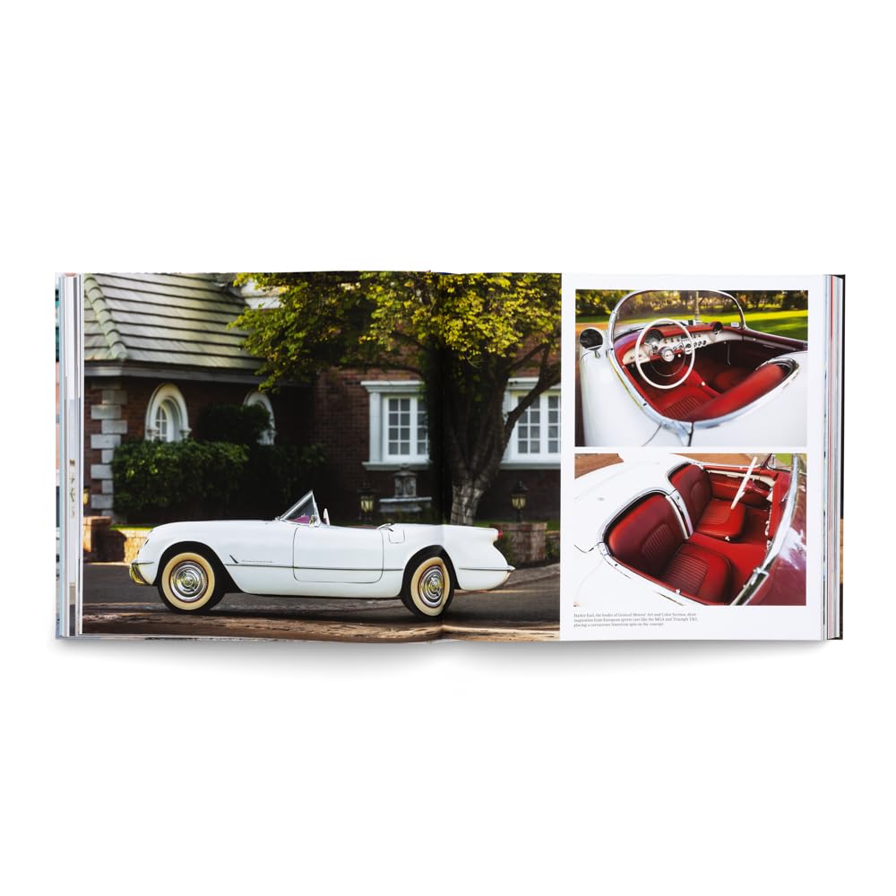 The Americans – Beautiful Machines: The Most Iconic US Cars and their Era (Beautiful Machines: The Most Iconic Cars, Band 3)