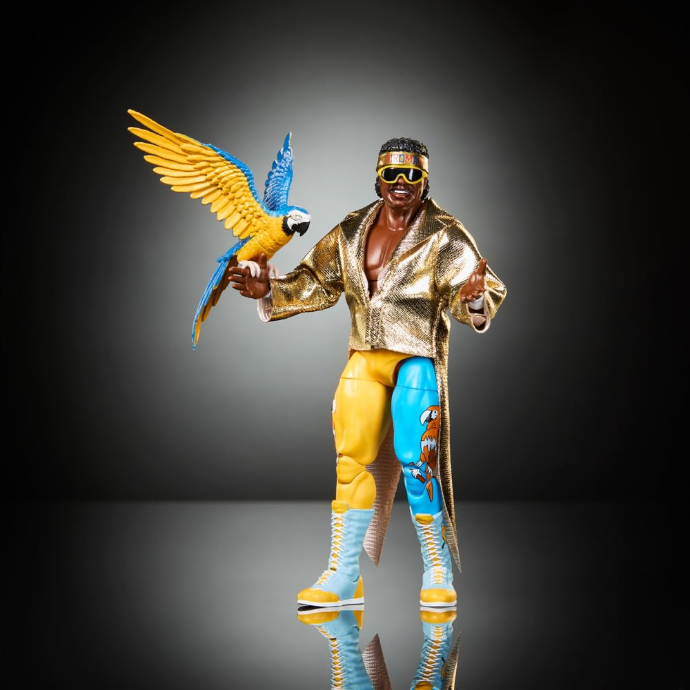 Amazon.com: Mattel WWE Elite Action Figure & Accessories, Series