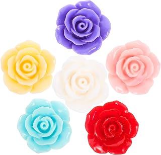 COHEALI 24 Piezas Titular De La Pintura De Diamantes Cubierta De Imán De Taladro Completo Herramienta Titular Cruz Cuidadores De Diamantes Rosas Estirar 5d El Plastico Estante De Artesanía