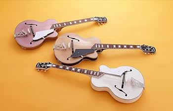 Amazon | VOX VGA-5TPS NAMG アコースティックギター初心者12点