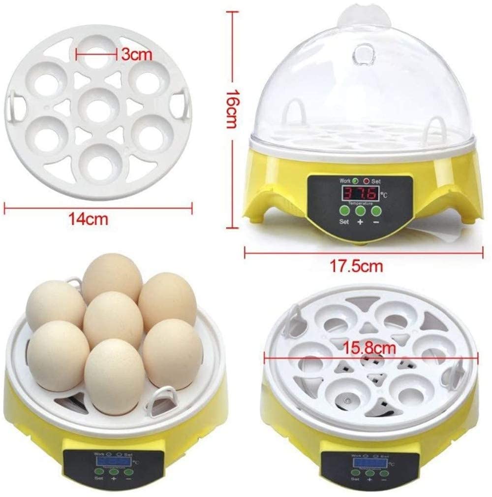 Incubadora digital de huevos totalmente automática, mini incubadora de huevos de pollo, codorniz, pavo, 10 incubadoras pequeñas semiautomáticas, talla única