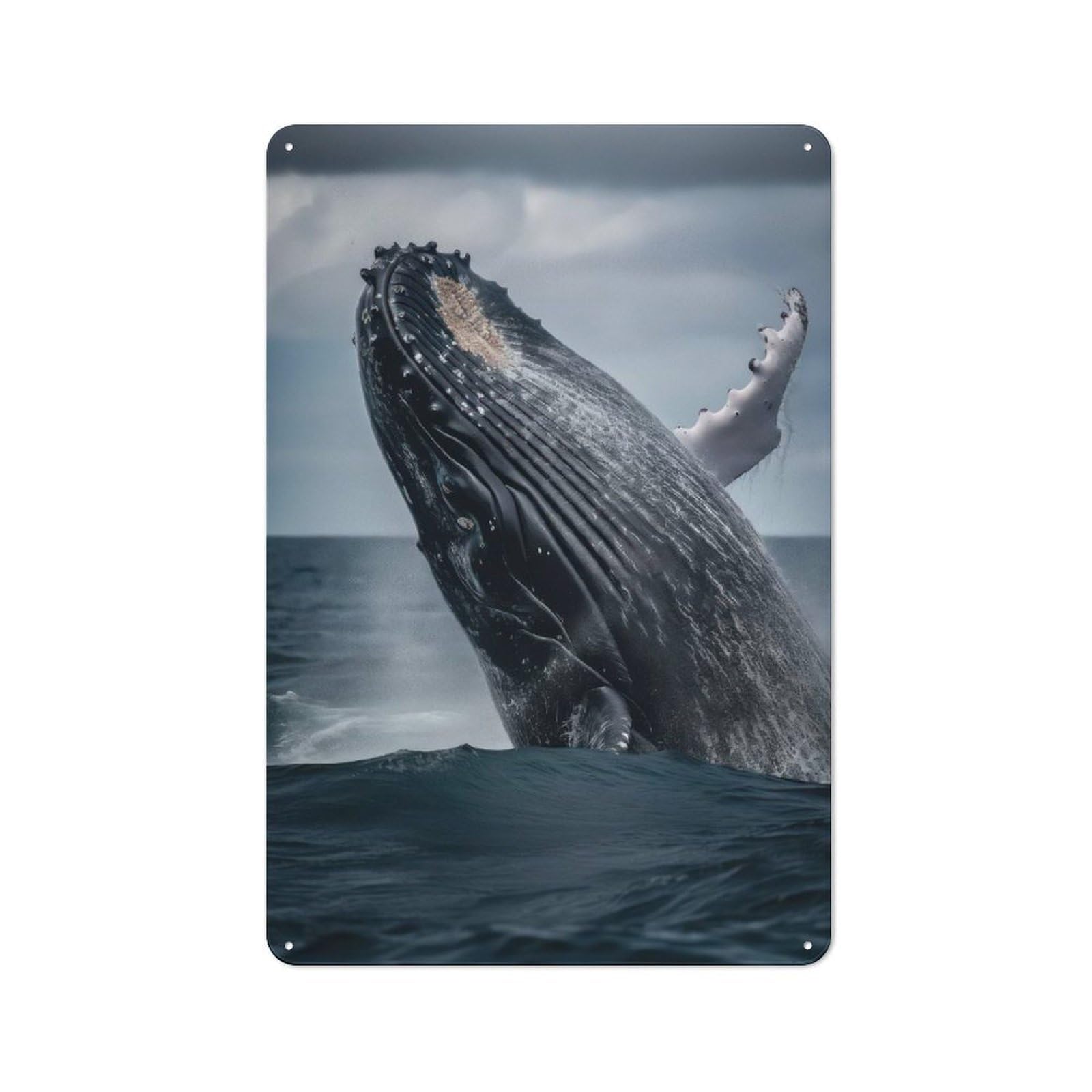 Beautiful Whale Metal Wall Plaque 30x20cm, Simple Retro Studio Wall Plaque for Office, Study, Studio Or Hallway