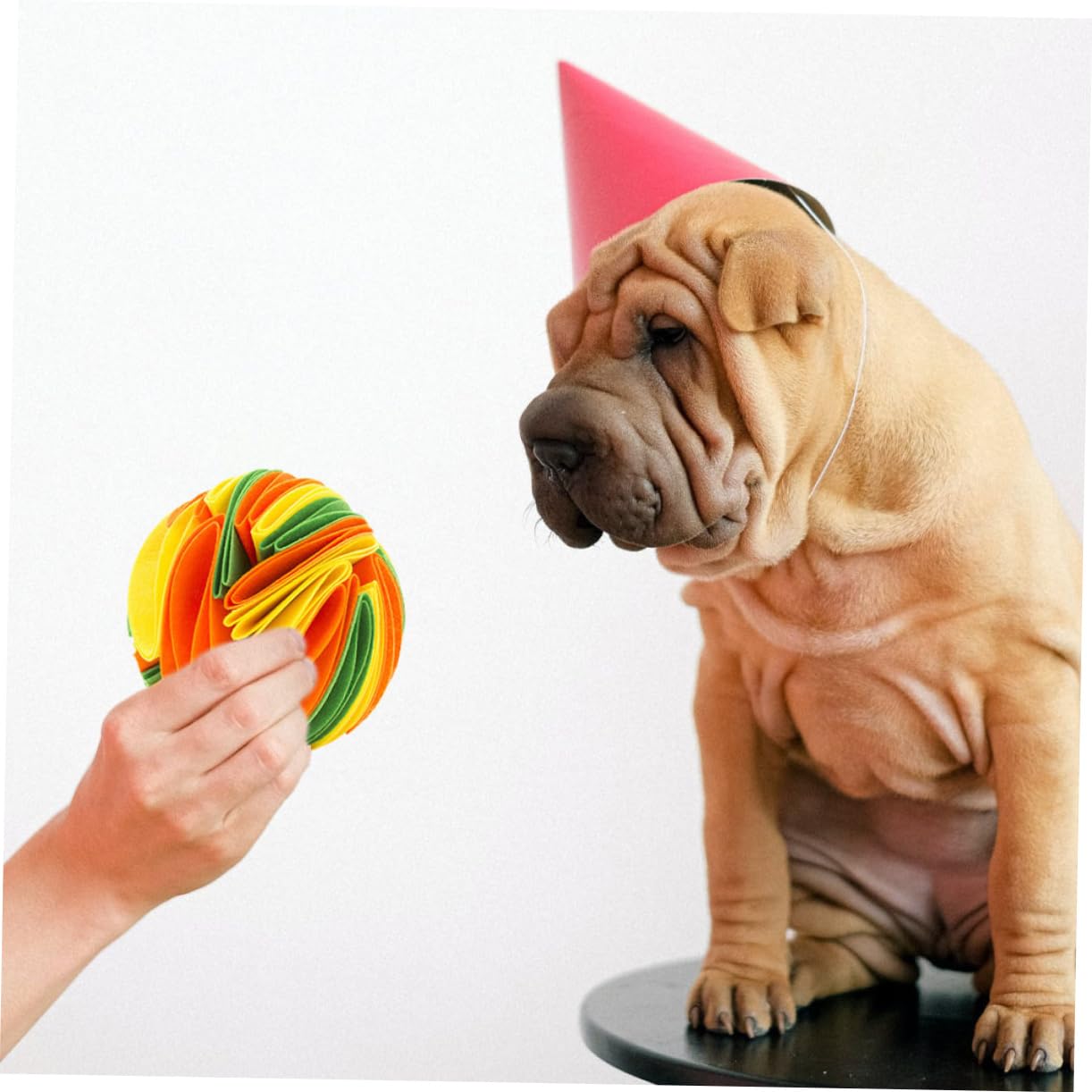 FRCOLOR 2 Bolas de olfateo para Perros, Juguetes para Masticar para Perros, Juguetes para Comida para Mascotas, comederos para Gatos, Juguetes para Mascotas, Juguetes para Mascotas