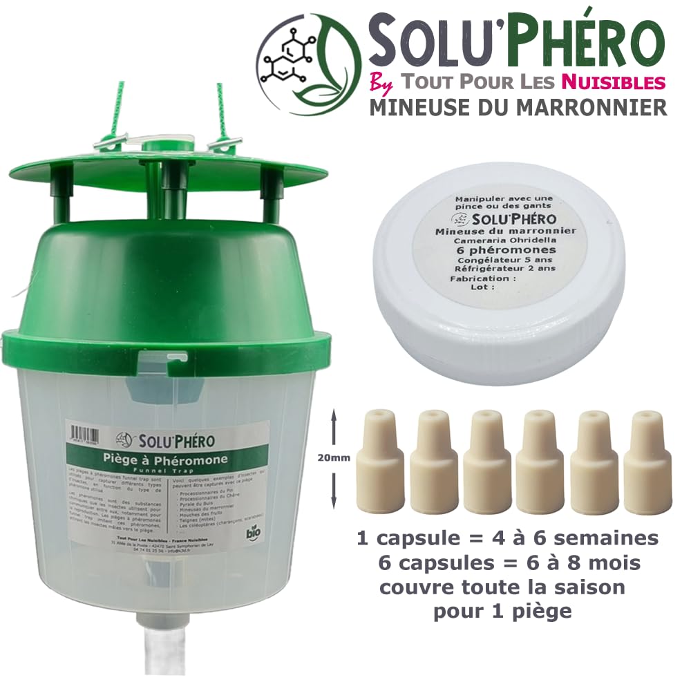SOLUPHERO - Kit 1 Piège Funnel + 6 Phéromones Mineuse Marronnier Bio - Efficacité par Capsule de 4 à 6 Semaines - Phéromone Écologique de Contrôle de Cameraria Ohridella