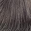 220# Dark Brown+20%Gray hair