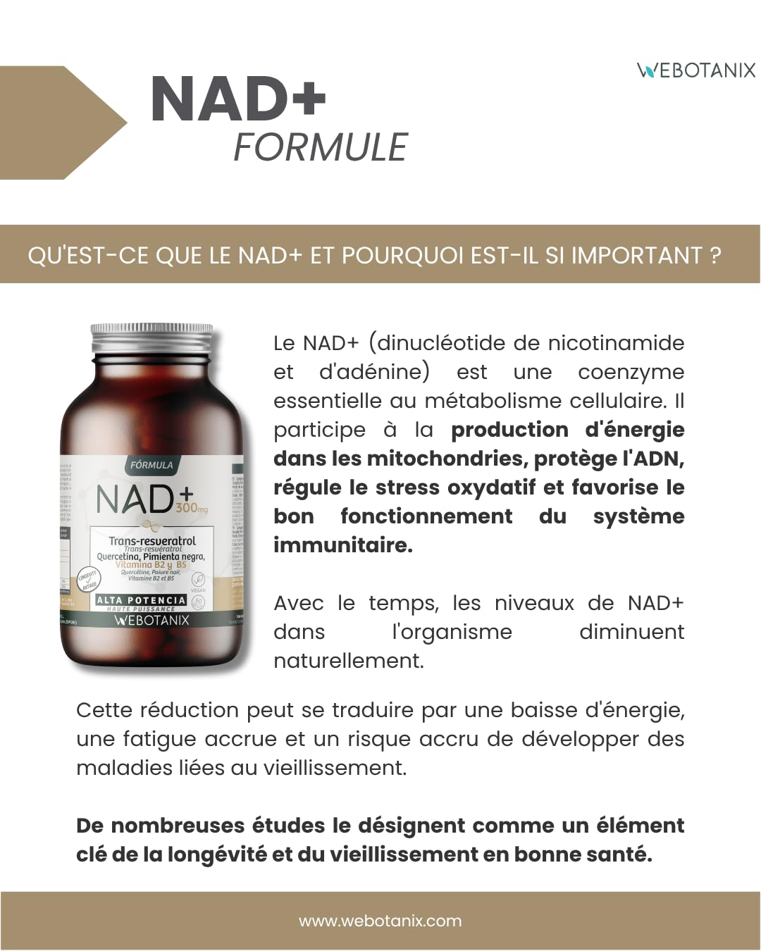 WeBotanix | Formule NAD+ avec Trans-Resvératrol et Quercétine | 60 Gélules | Avec Vitamines B2 et B5 + Pipérine | Énergie Cellulaire, Réparation et Longévité | Sans Gluten | Végan