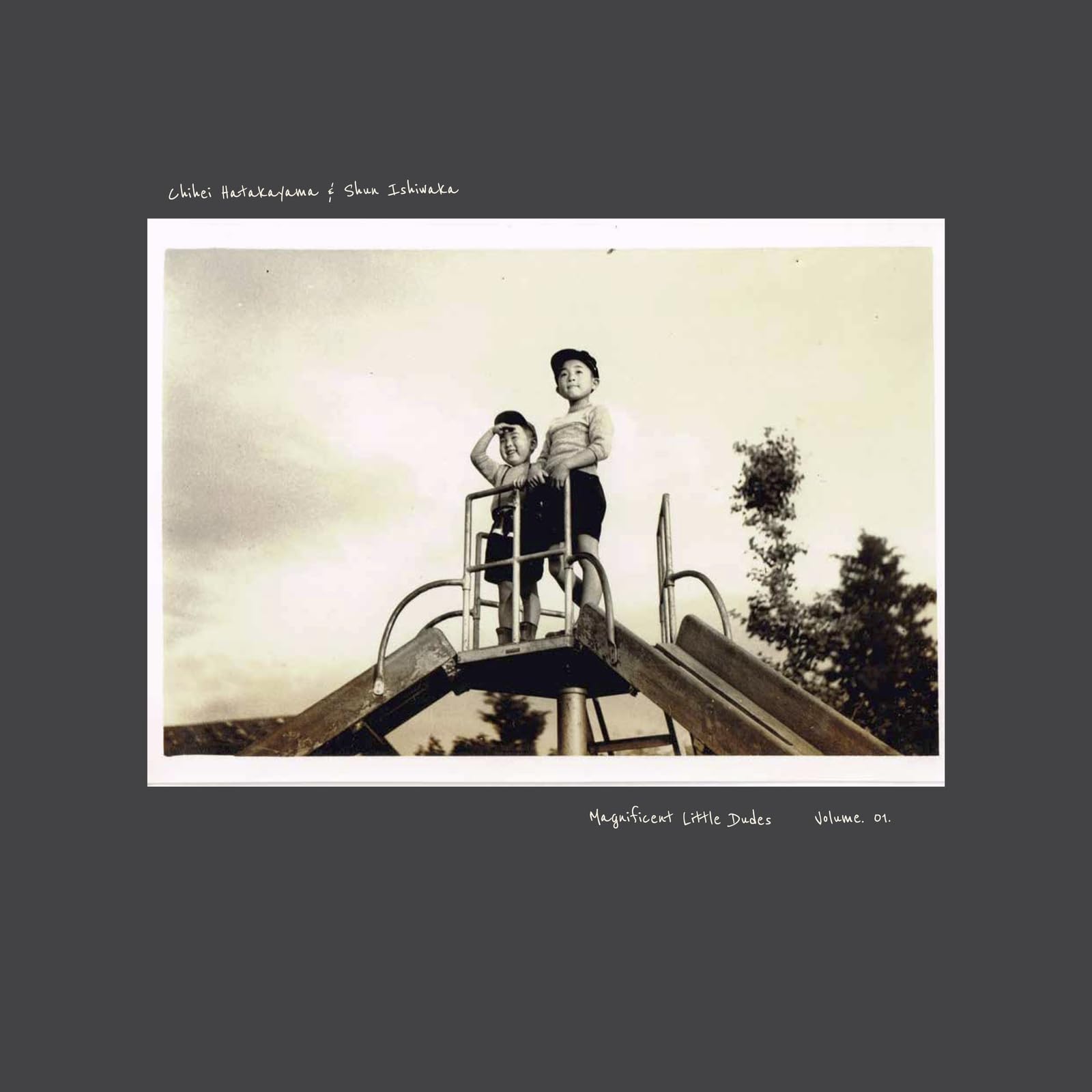Magnificent Little Dudes vol. 1 [VINYL]