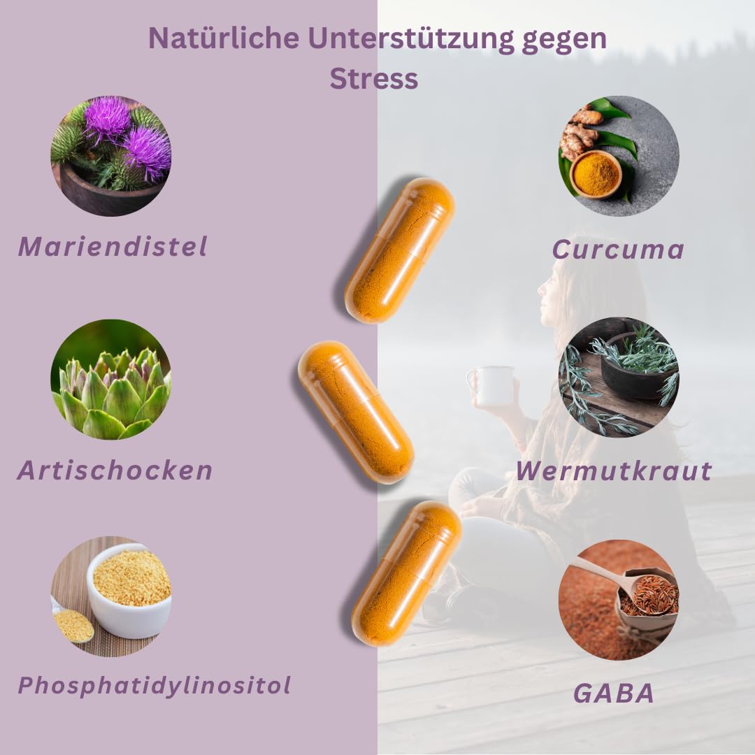 Anti-Stress Kapseln mit GABA, Curcuma & Mariendistel – Vegan & ohne Zusatzstoffe – Entspannung, Schlaf & Leber-Detox – Made in Germany