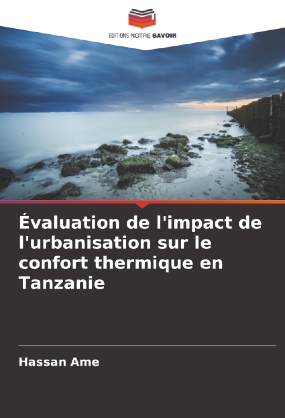 Évaluation de l'impact de l'urbanisation sur le confort thermique en Tanzanie