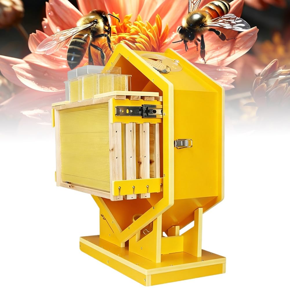 Kit ruche avec fenêtres d'observation, 3 cadres et 6 plateaux en nid d'abeille pour une gestion facile des colonies d'abeilles, apiculture intérieure et jardin