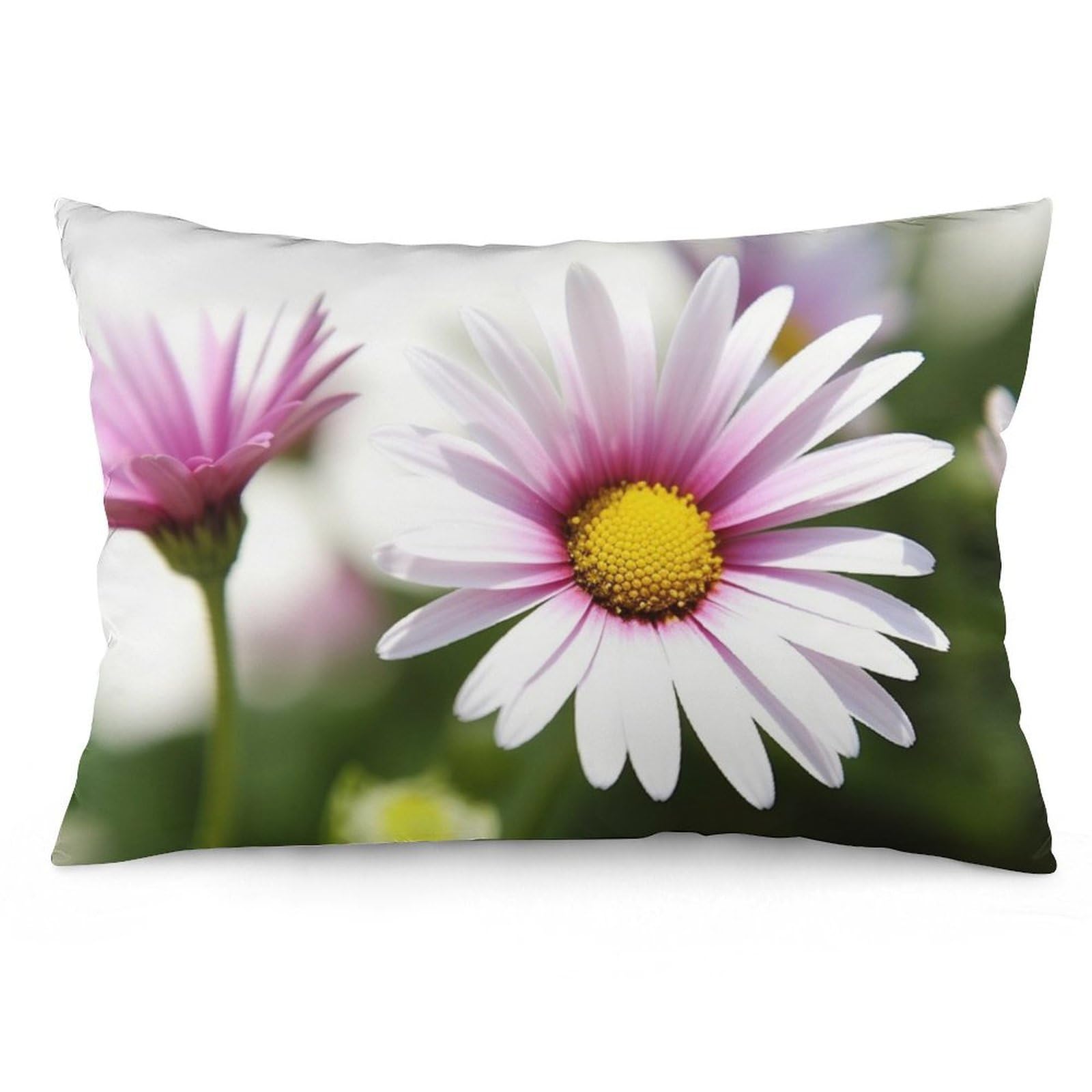 NTVOWPZO 2 Pack Decoration Throw Pillow Covers 20"x30" Pillowcases Covers Daisy Flower Pillowcases Modern Farmhouse Home Decor Sofa Cushions Covers for Couch Bed Living Room